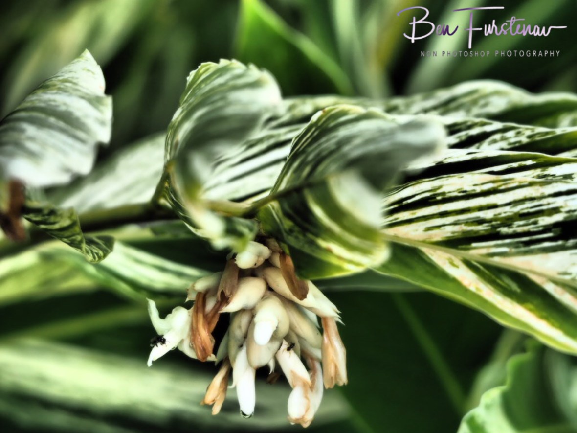 Dramatic view at Port Douglas, Tropical Queensland, Australia
