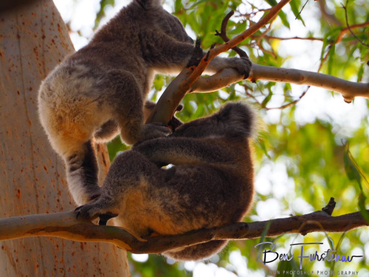 thanks mom! at Woodburn, Northern New South Wales, Australia 