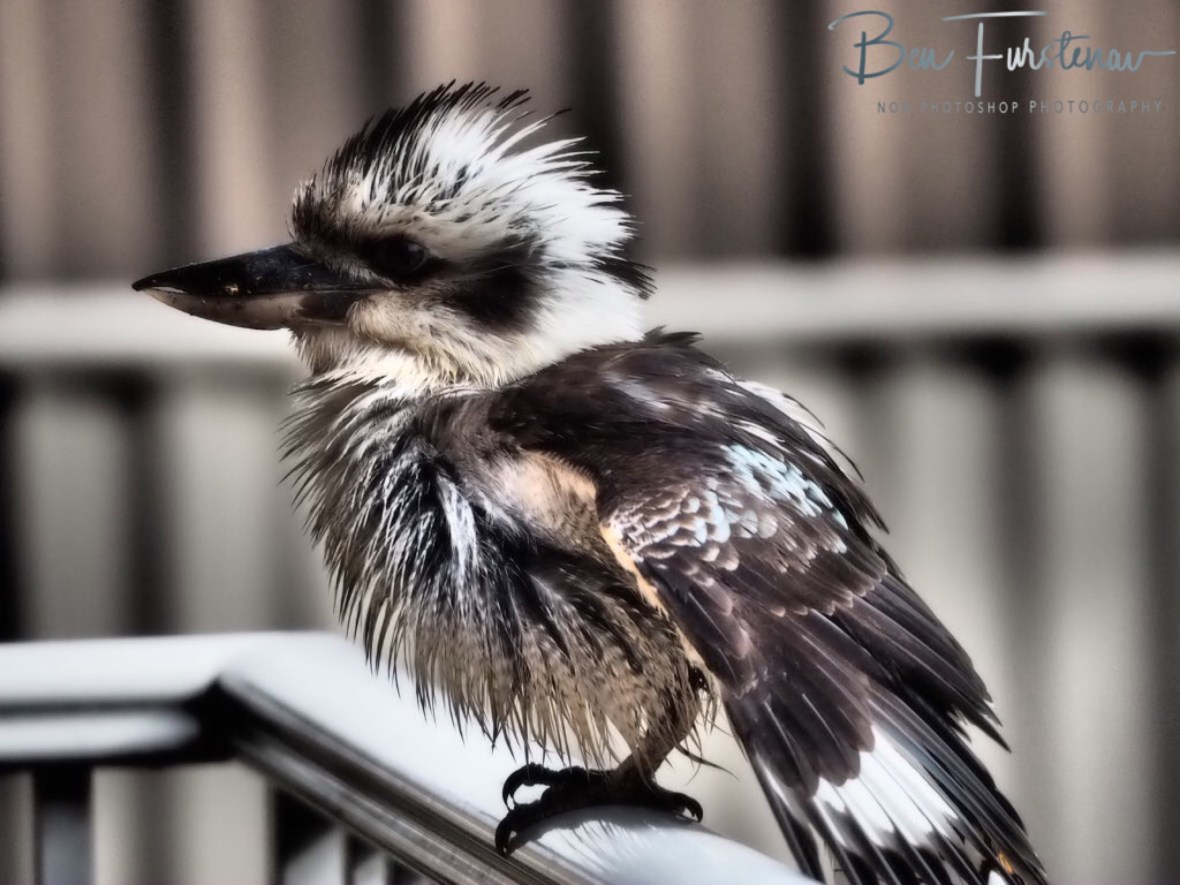 7622808C-5225-4ECE-AA32-C133647E3EF4