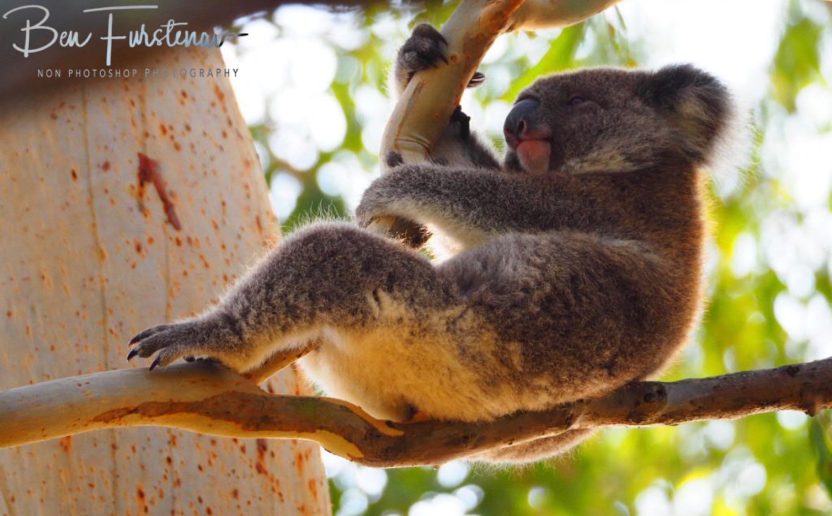 Mom will be resting for a while at Woodburn, Northern New South Wales, Australia 