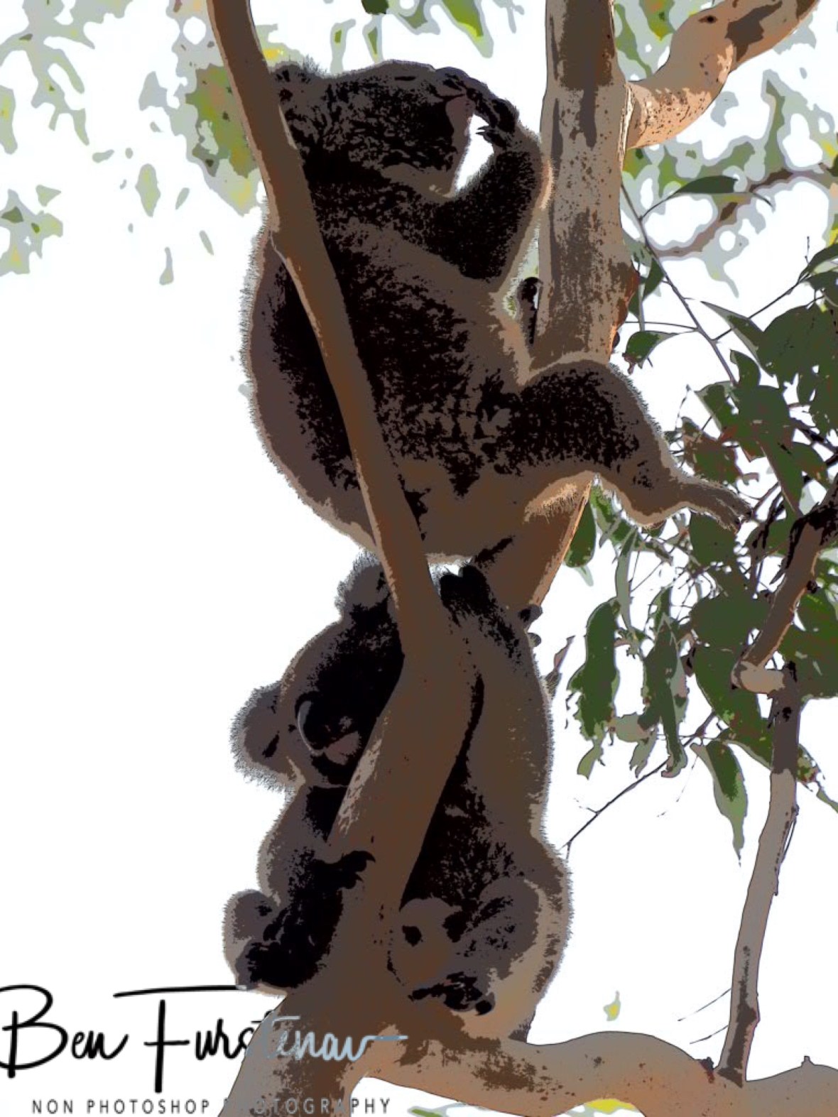 86029591-6A5C-45C7-A1CC-22C307A97FD4