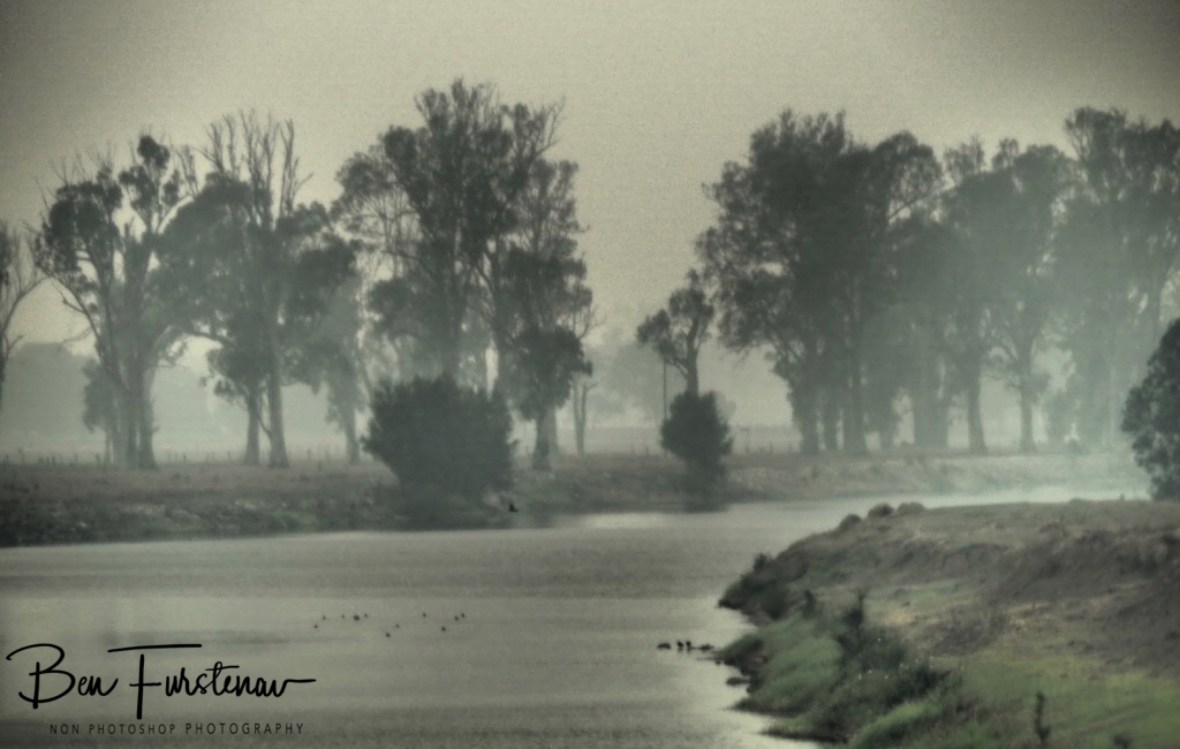 Ash falling to water systems contaminate drinking water, Australia, New South Wales,