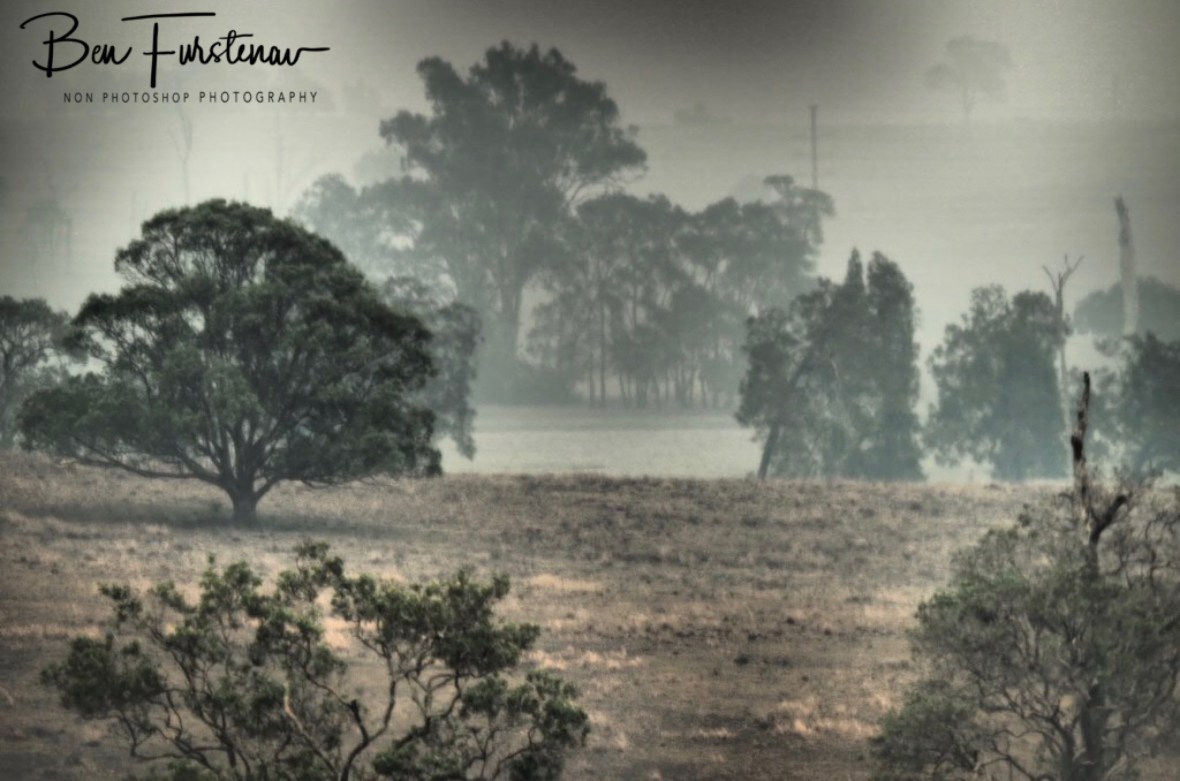 Smoke covered fields near Grafton, Australia, New South Wales,