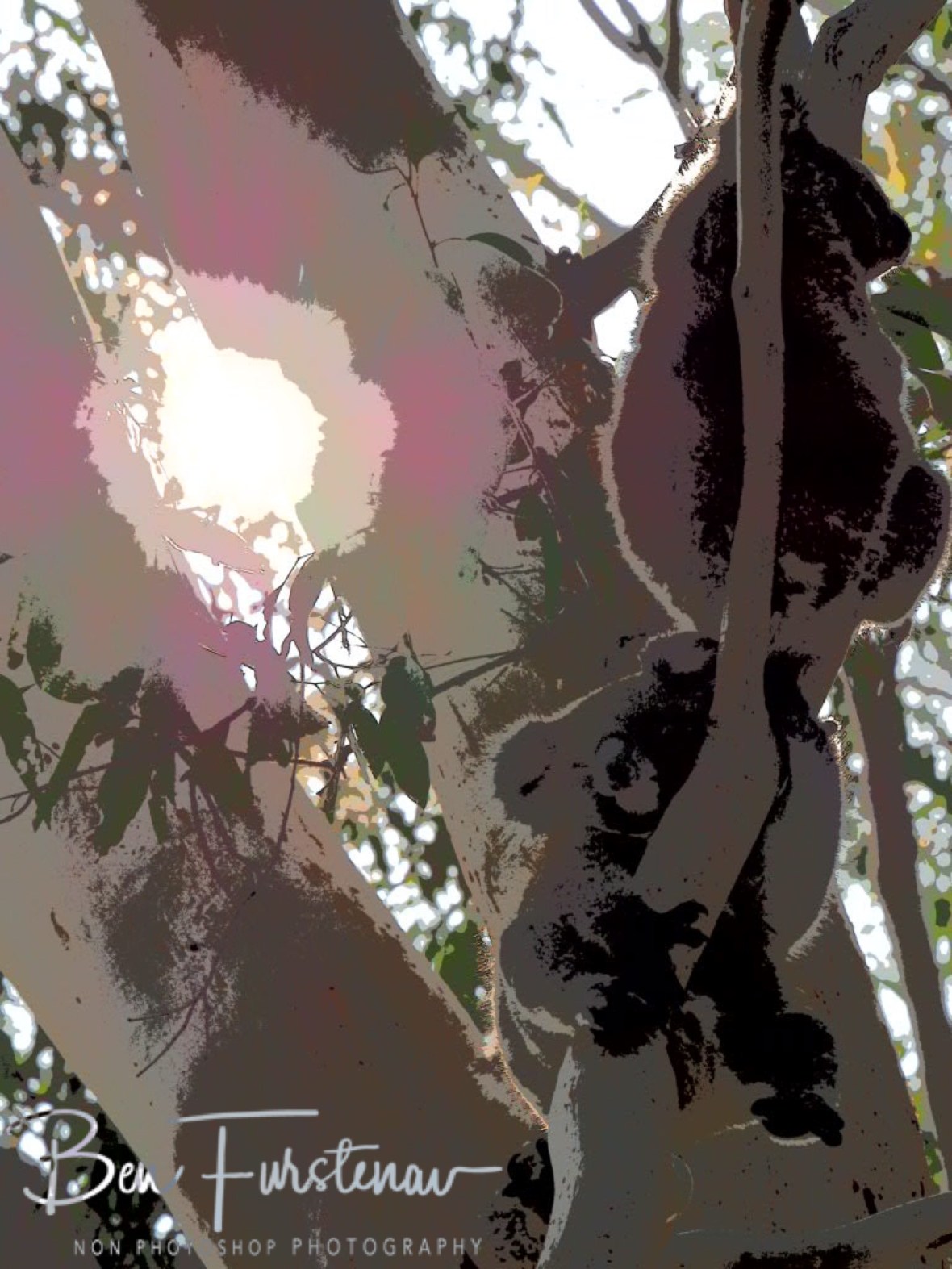 A8860255-611E-45BB-B446-4DE2801F45C6