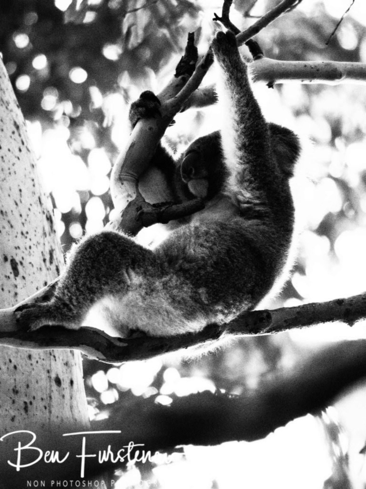 Black and white picture frame  at Woodburn, Northern New South Wales, Australia 