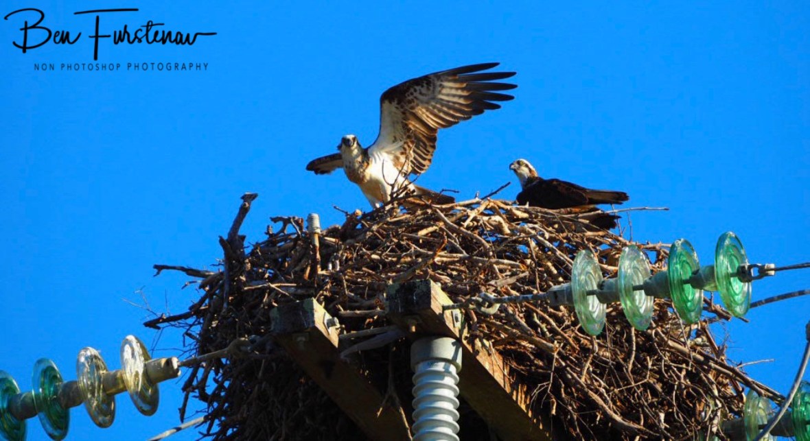 And off again at Port Douglas, Tropical Queensland, Australia 