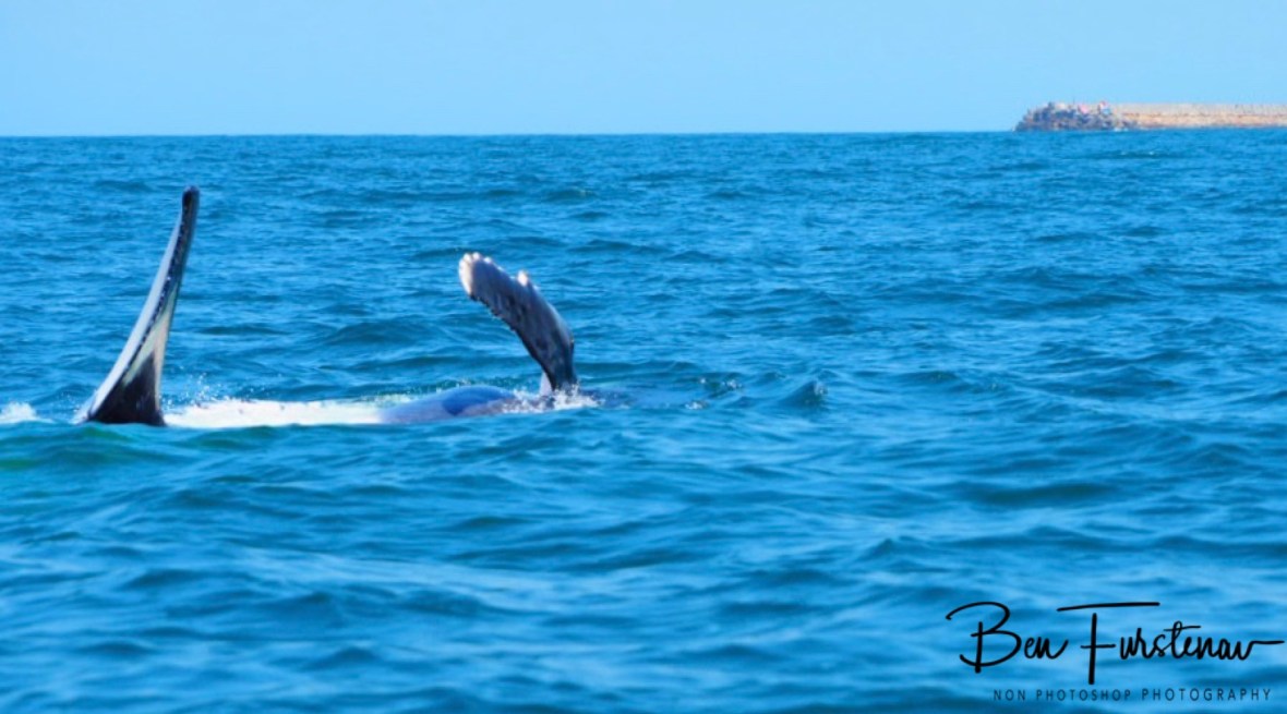 Just because at Coffs Harbour, New South Wales, Australia