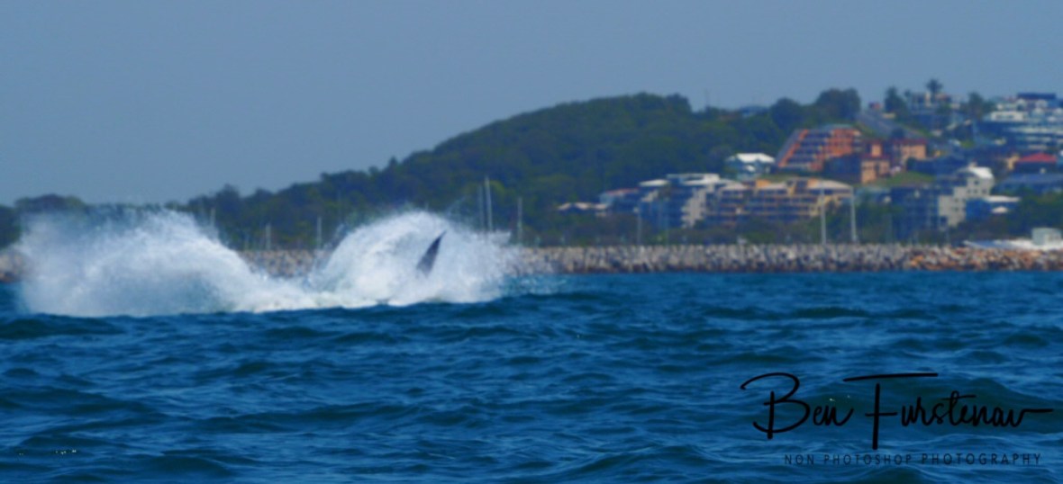 Mighty splash at Coffs Harbour, New South Wales, Australia