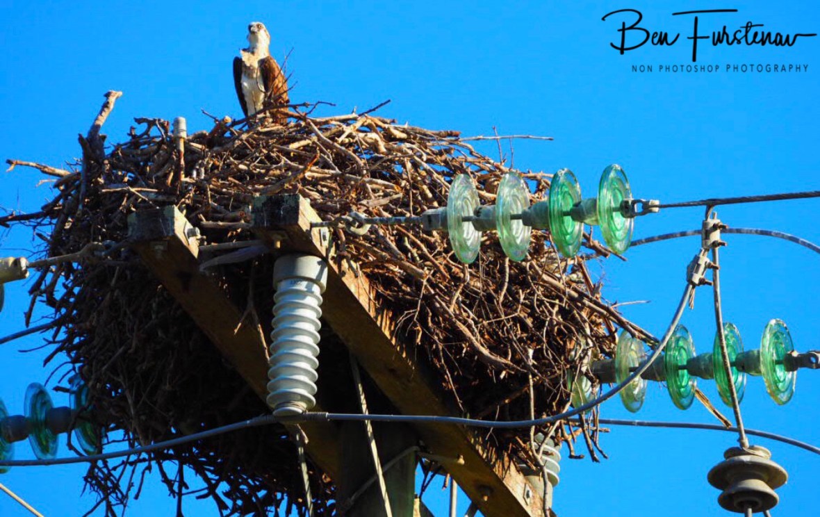 Hanging out at Port Douglas, Tropical Queensland, Australia 
