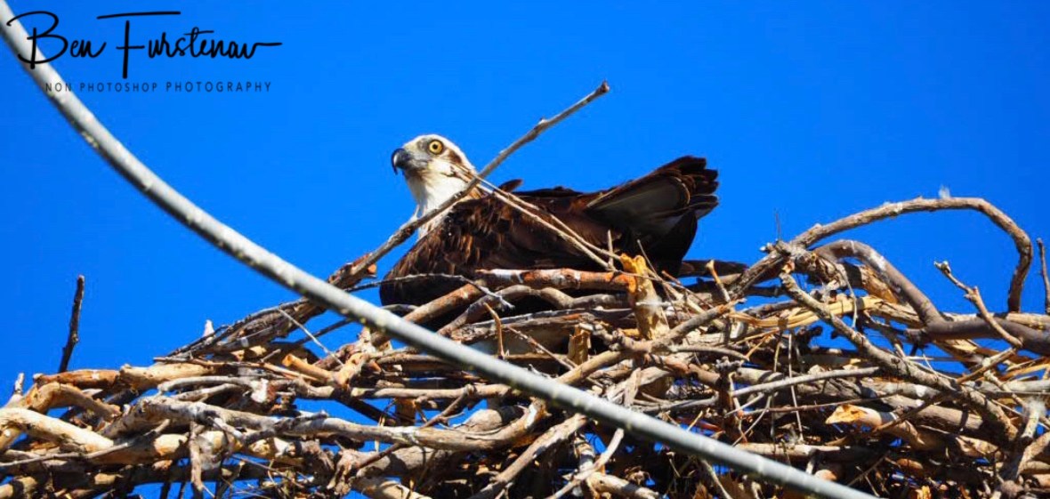 Not sure about me? Port Douglas,  Tropical Queensland, Australia 