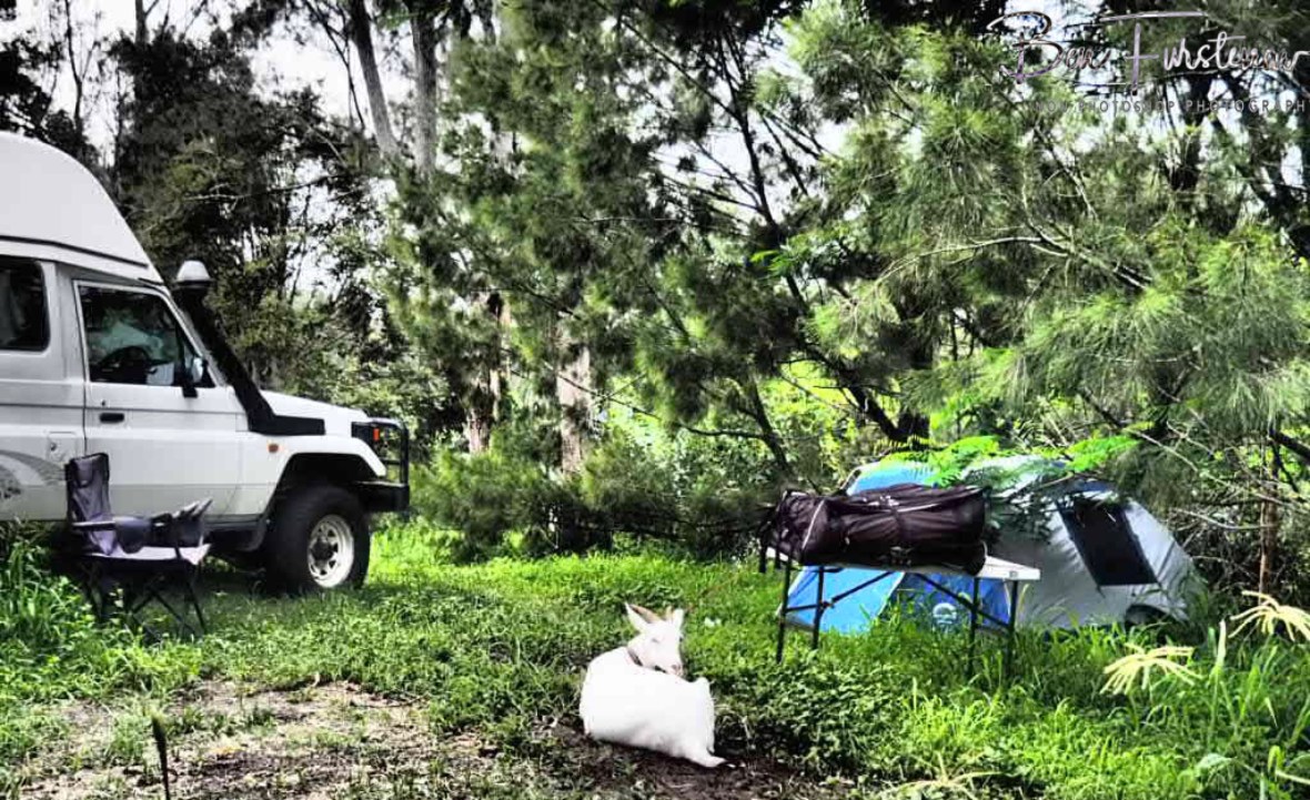 Best vantage point at Wyrallah, Northern New South Wales, Australia 