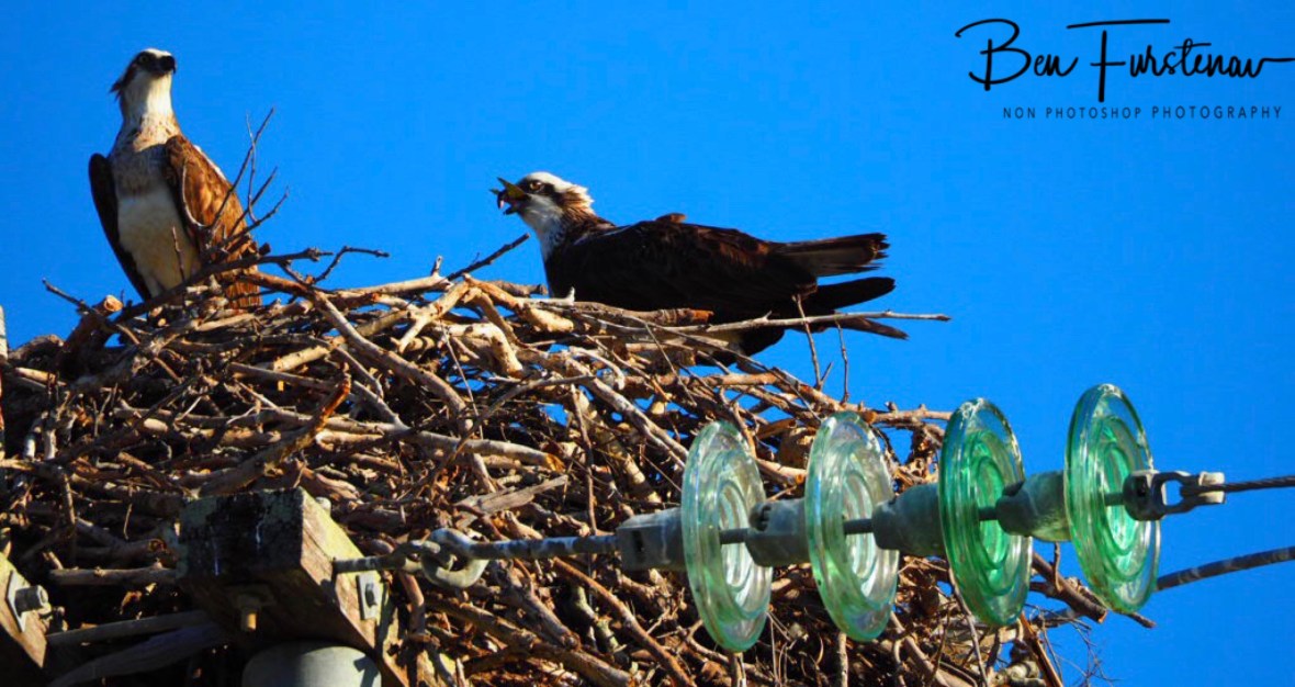 Stunning view nonetheless at Port Douglas, Tropical Queensland, Australia
