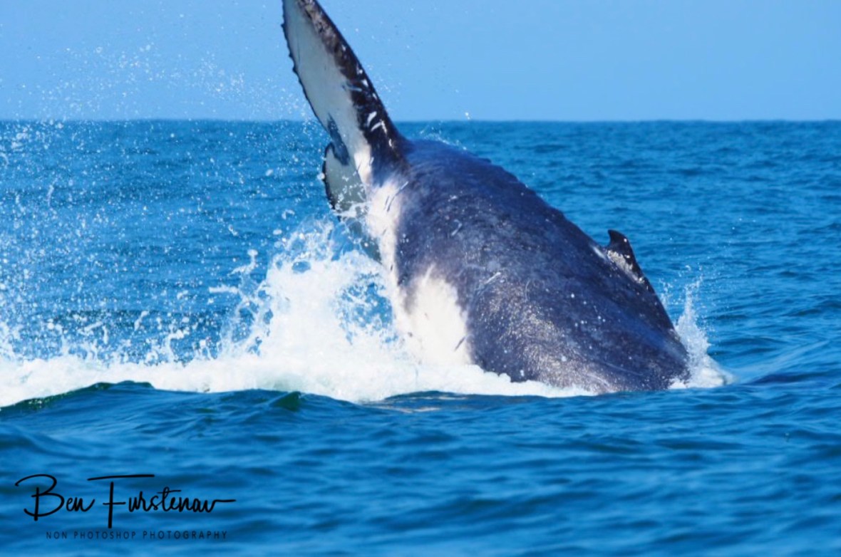 Almost got the shot at Coffs Harbour, New South Wales, Australia