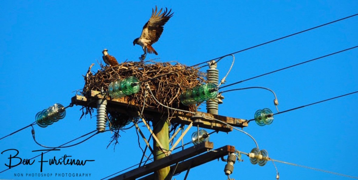 Here I come! Port Douglas, Tropical Queensland, Australia 