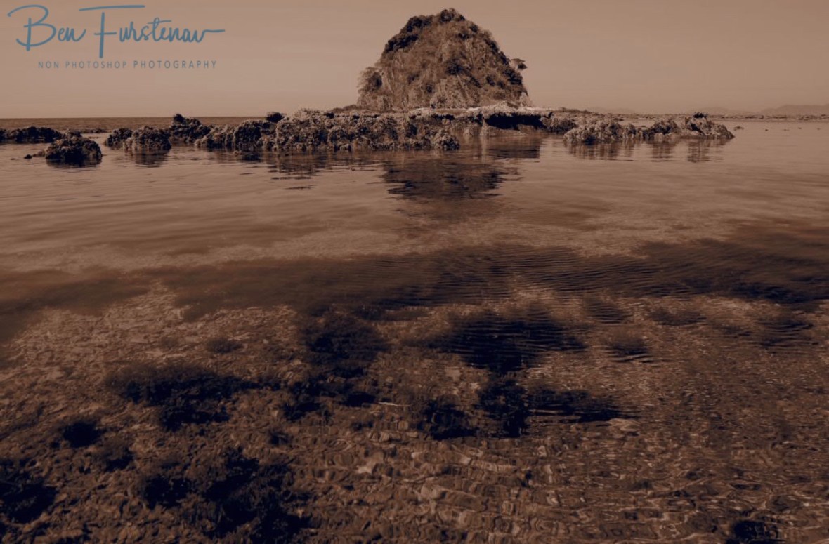 Coral graveyard in sepia at  Palm Cove, Tropical Queensland, Australia 