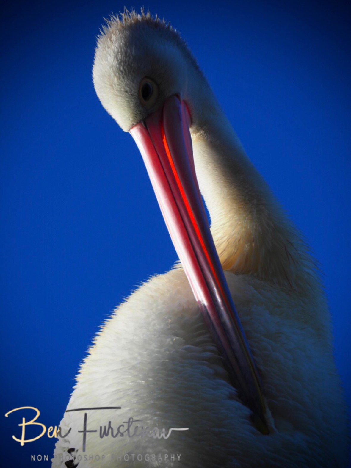 A fabulous day on my  Life at Evans Head, Northern New South Wales, Australia 