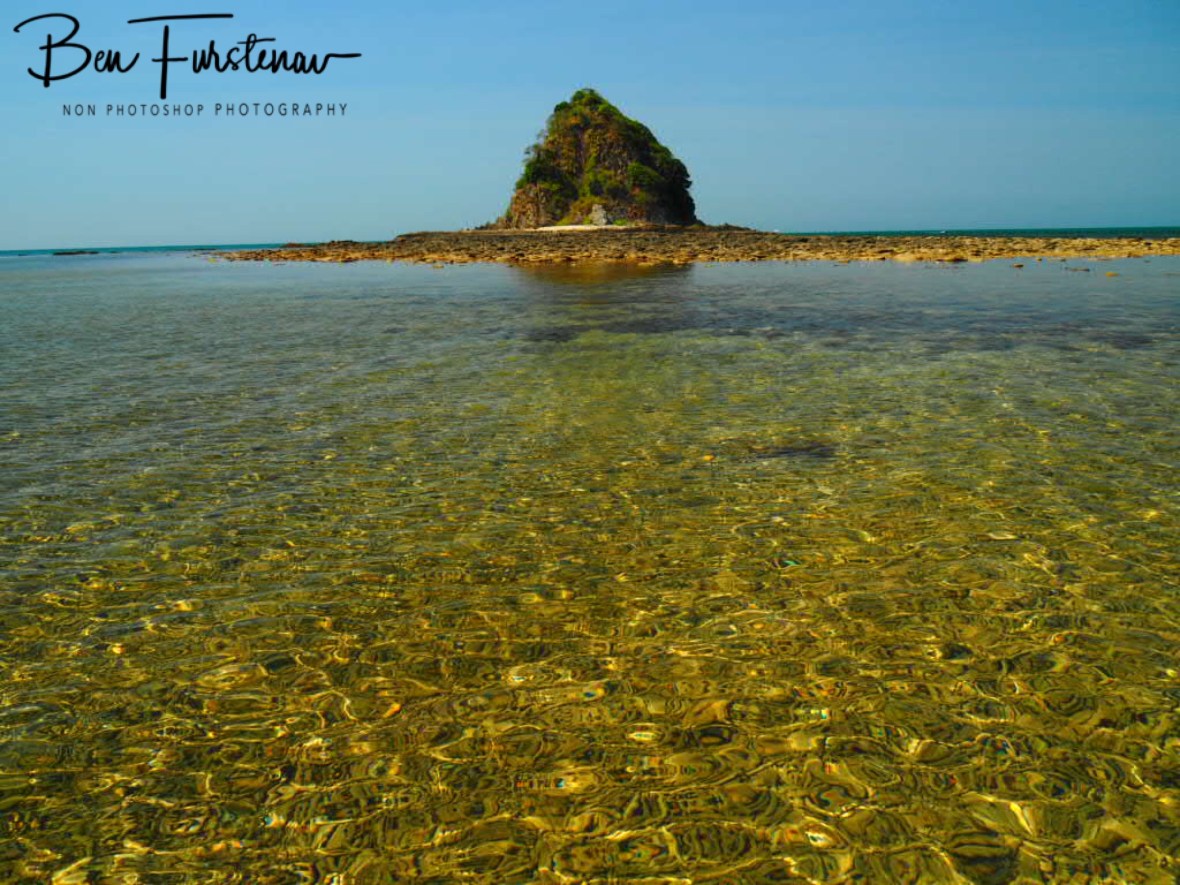 Coral graveyard at  Palm Cove, Tropical Queensland, Australia 