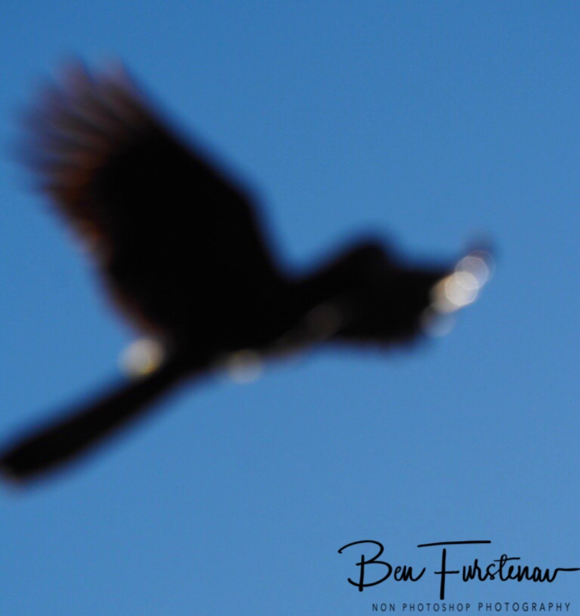 Too late again! at Evans Head, Northern New South Wales, Australia 