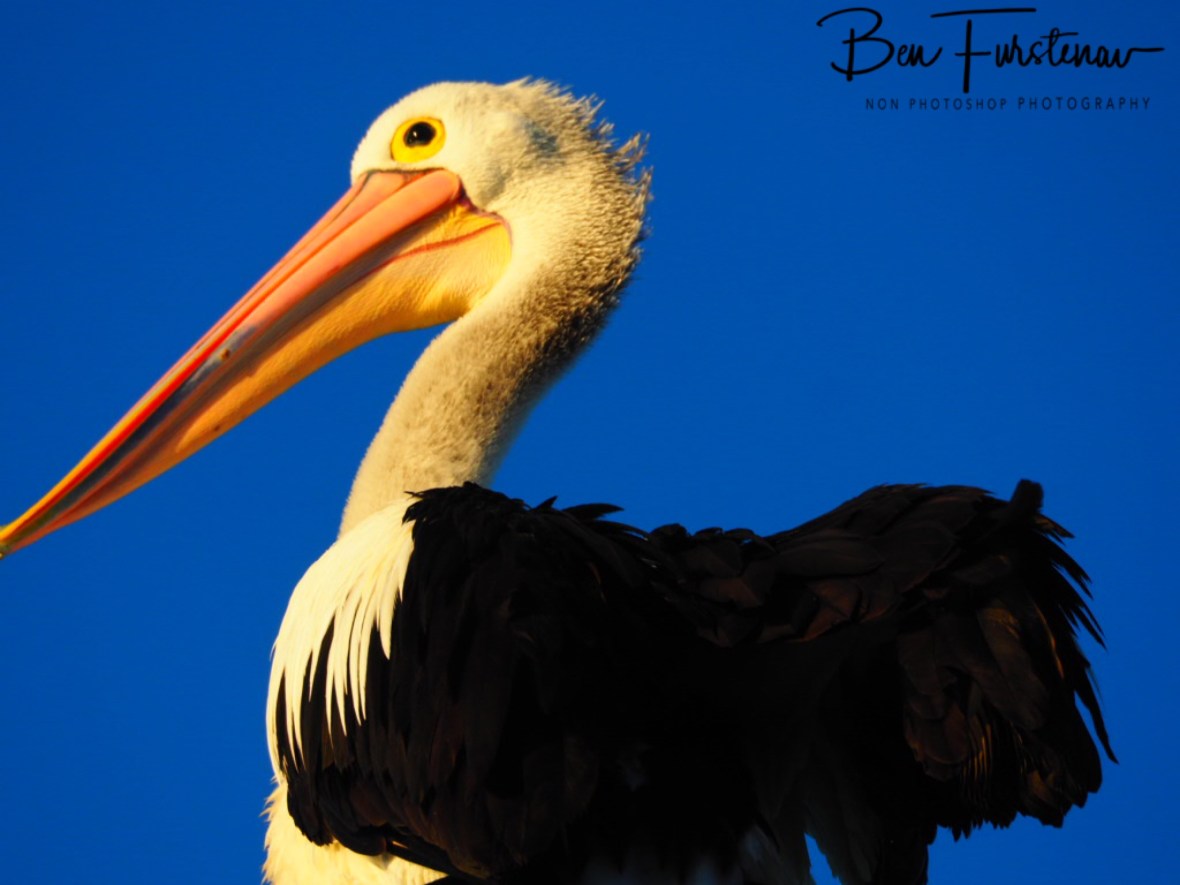 Colour spectrum at Evans Head, Northern New South Wales, Australia 