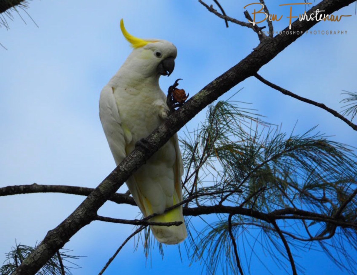 Save and sound at Trinity Inlet, Cairns, Northern Queensland, Australia 