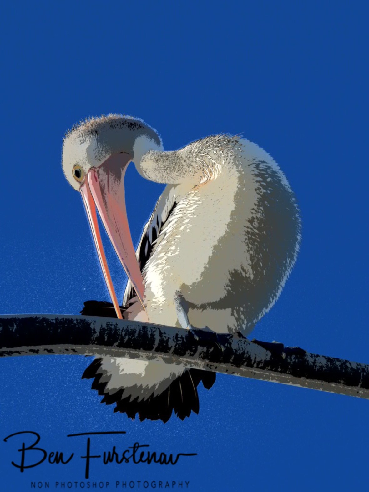 Intriguing and interesting at Evans Head, Northern New South Wales, Australia