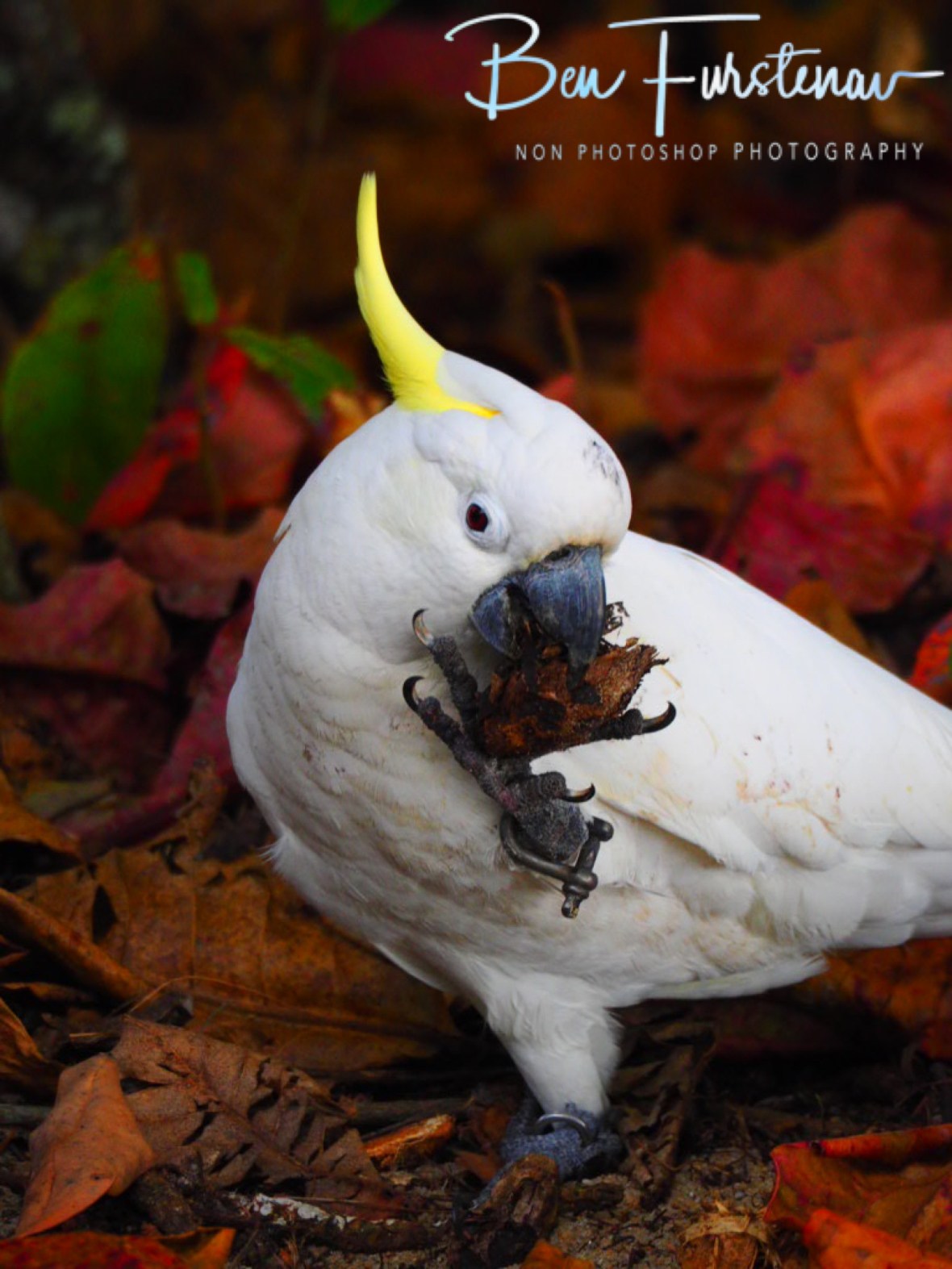 D0F5B7AD-E47E-4B57-82FD-C439CFB38395