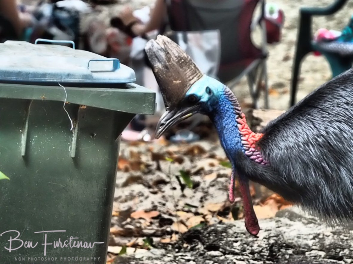 Tower of doom and gloom @ Etti Bay, Northern Tropical Queensland, Australia 