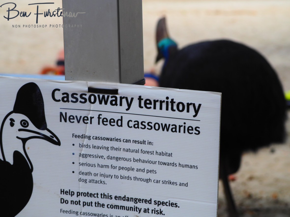 Obvious signs @ Etti Bay, Northern Tropical Queensland, Australia 