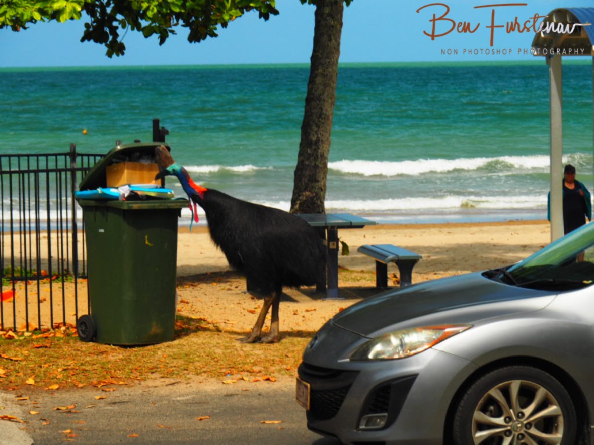 The second Tower of doom @  Etti Bay, Northern Tropical Queensland, Australia 