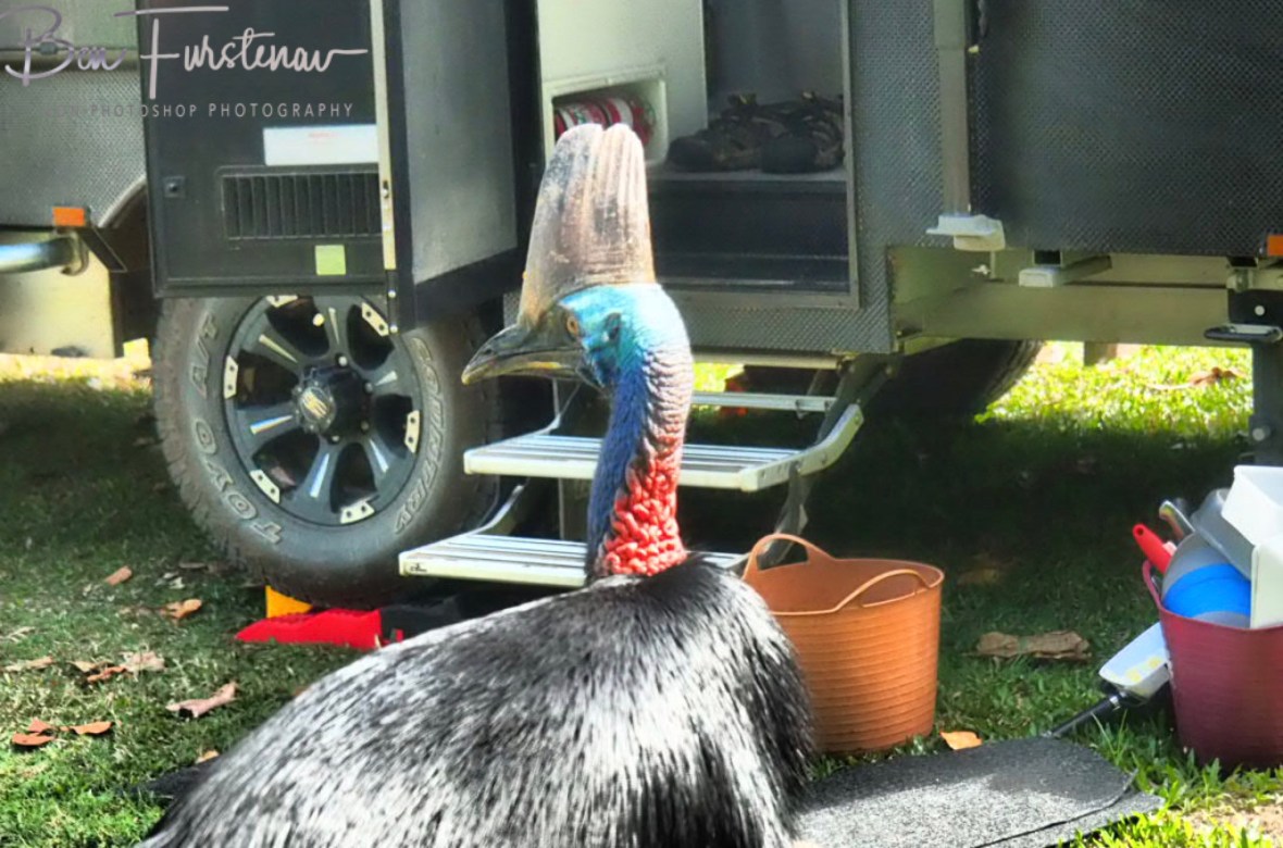 What else? @ Etti Bay, Northern Tropical Queensland, Australia 