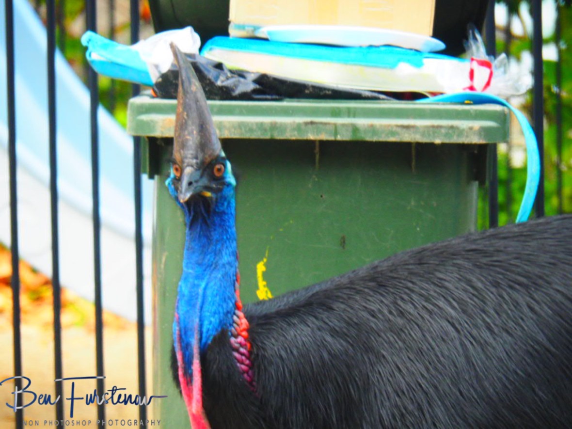 Hope no one is taking photos! @  Etti Bay, Northern Tropical Queensland, Australia 