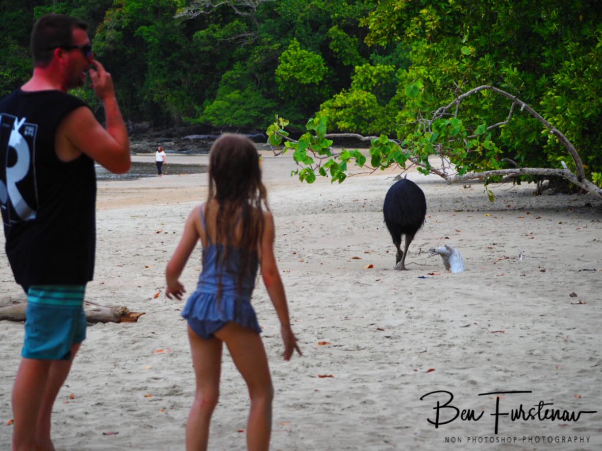 The fellowship @ Etti Bay, Tropical Northern Queensland, Australia 