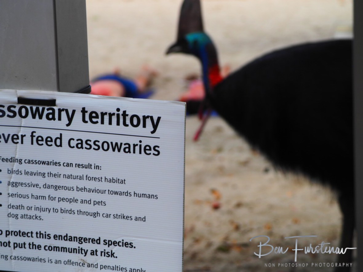 Classic shot @ Etti Bay, Northern Tropical Queensland, Australia 