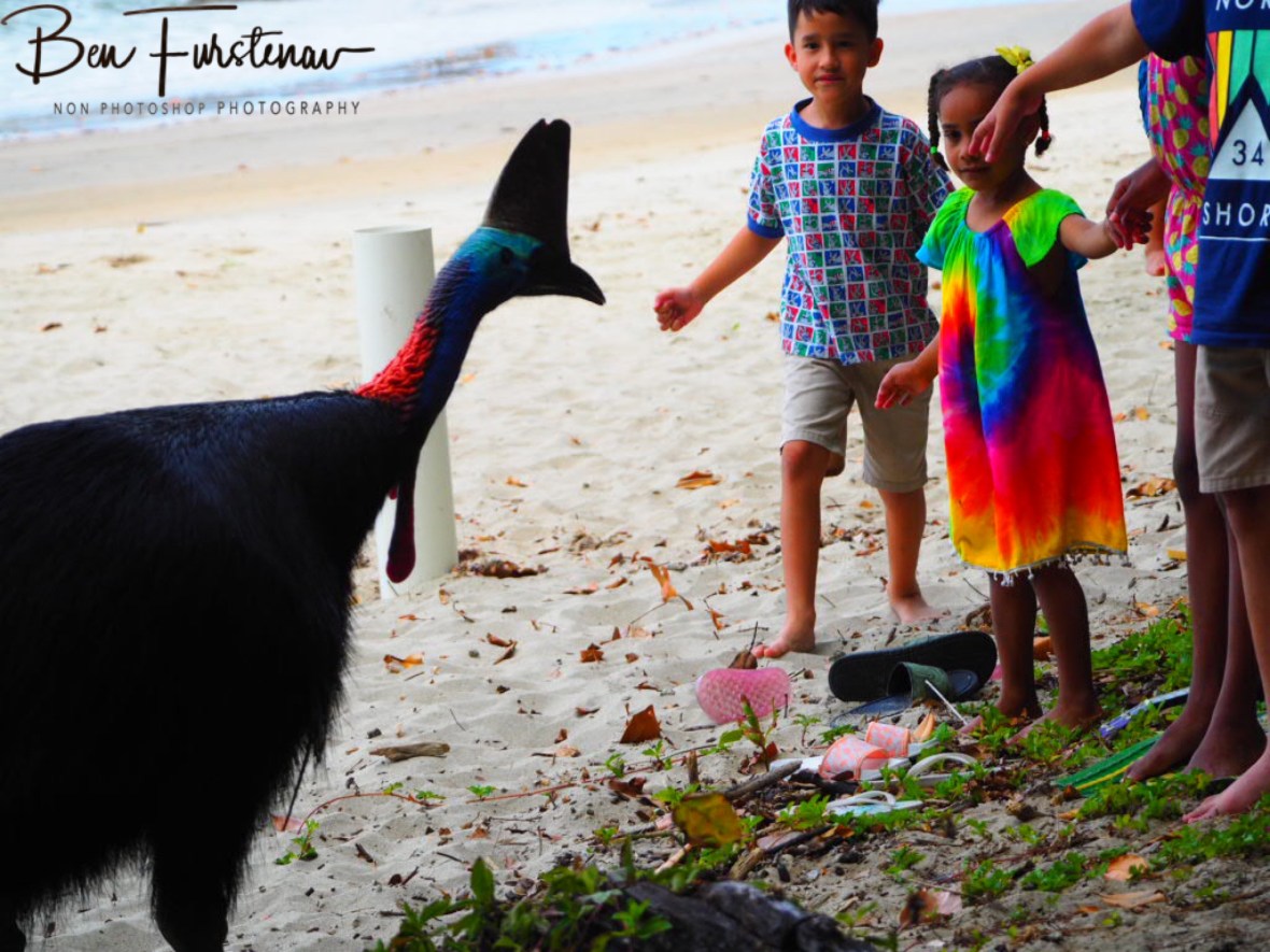 Line up fellowers @ Etti Bay, Tropical Northern Queensland, Australia 