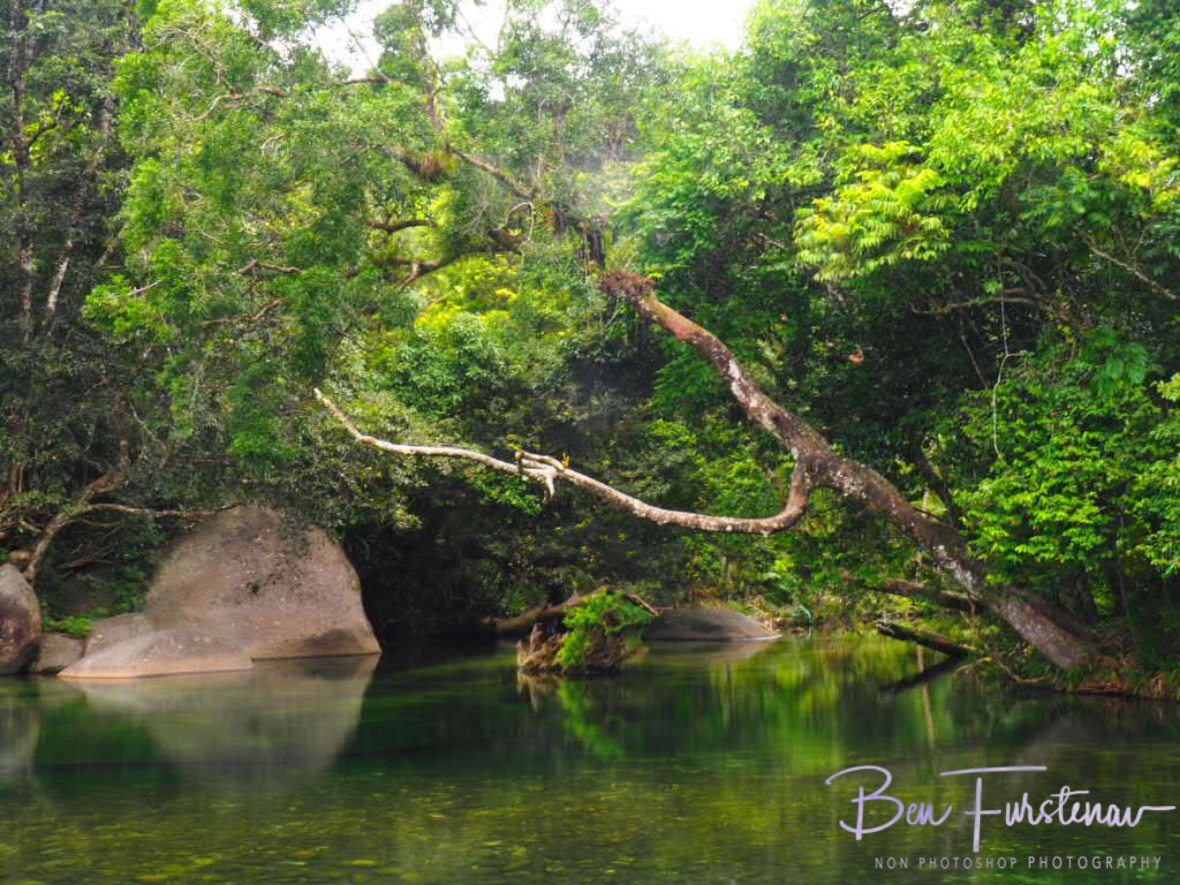 Perfect for a refreshing dip at Babinda, Tropical Northern Queensland, Australia 