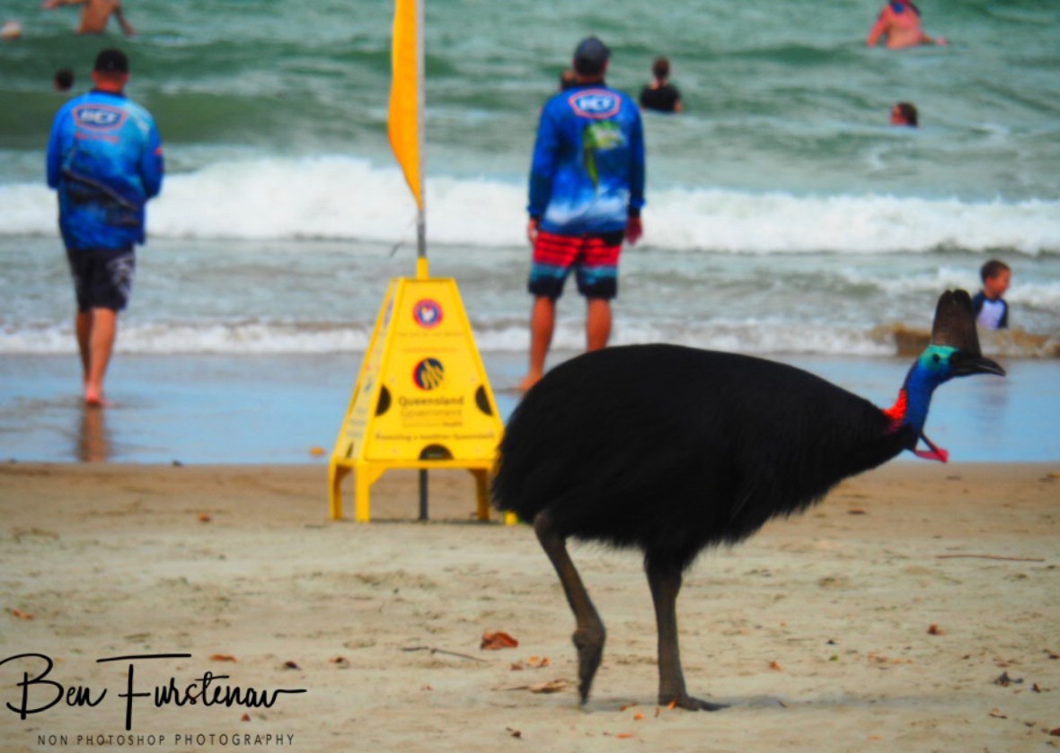 Classic @ Etti Bay, Northern Tropical Queensland, Australia