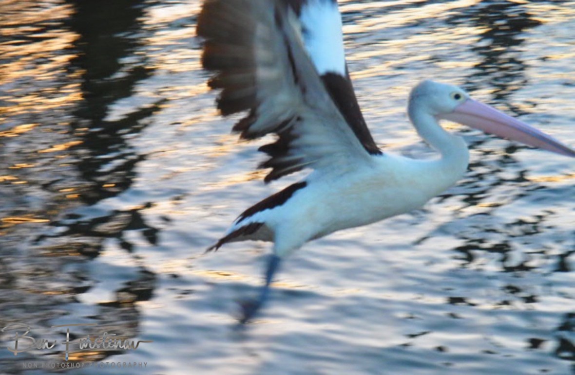 That’s it! @ Evans Head, Northern New South Wales, Australia 