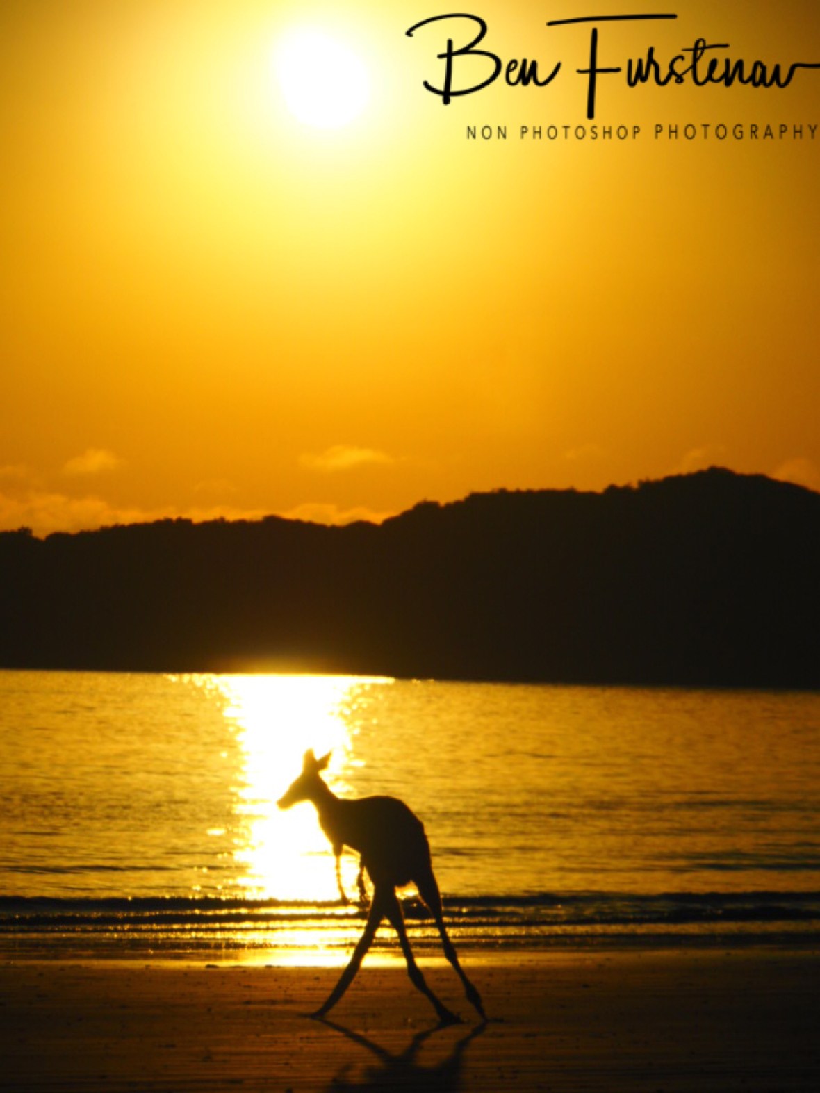 Spectacular move @ Cape Hillsborough, Tropical Northern Tropical, Australia 