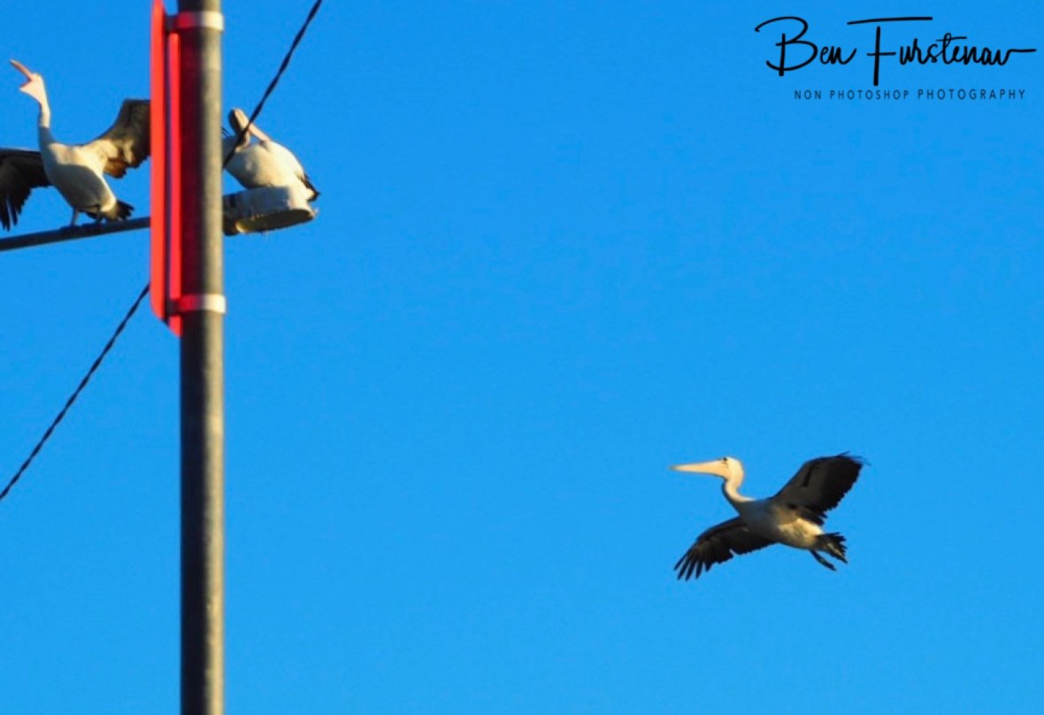 Incoming @ Evans Head, Northern New South Wales, Australia 