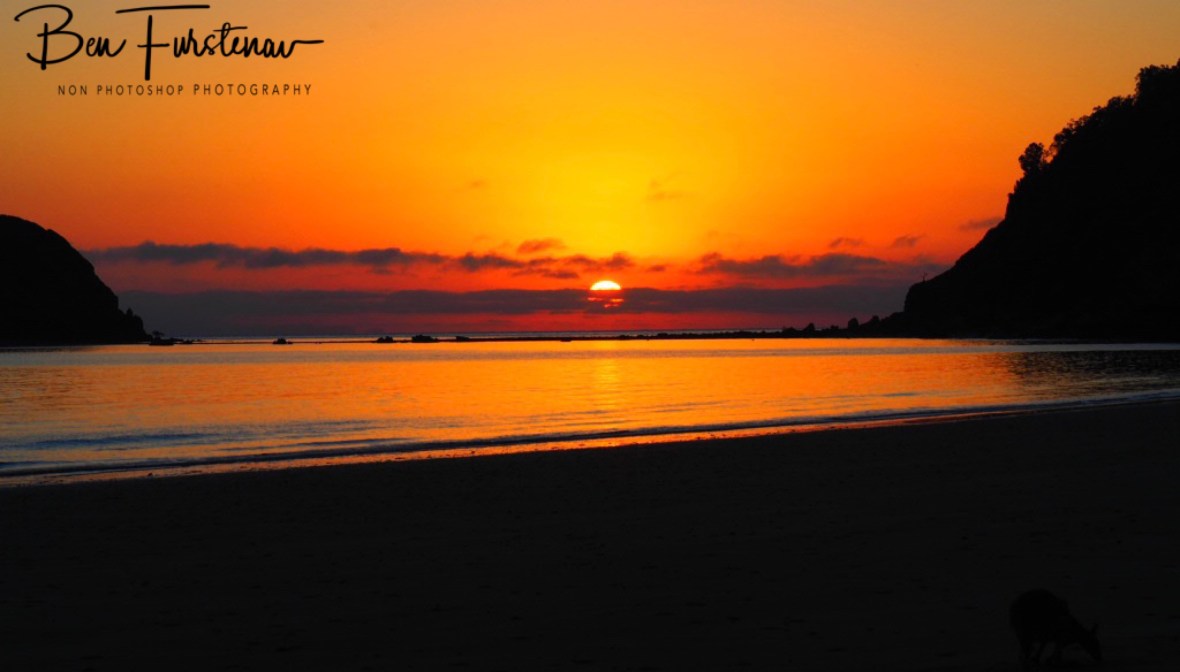First light @ Cape Hillsborough, Tropical Northern Tropical, Australia 