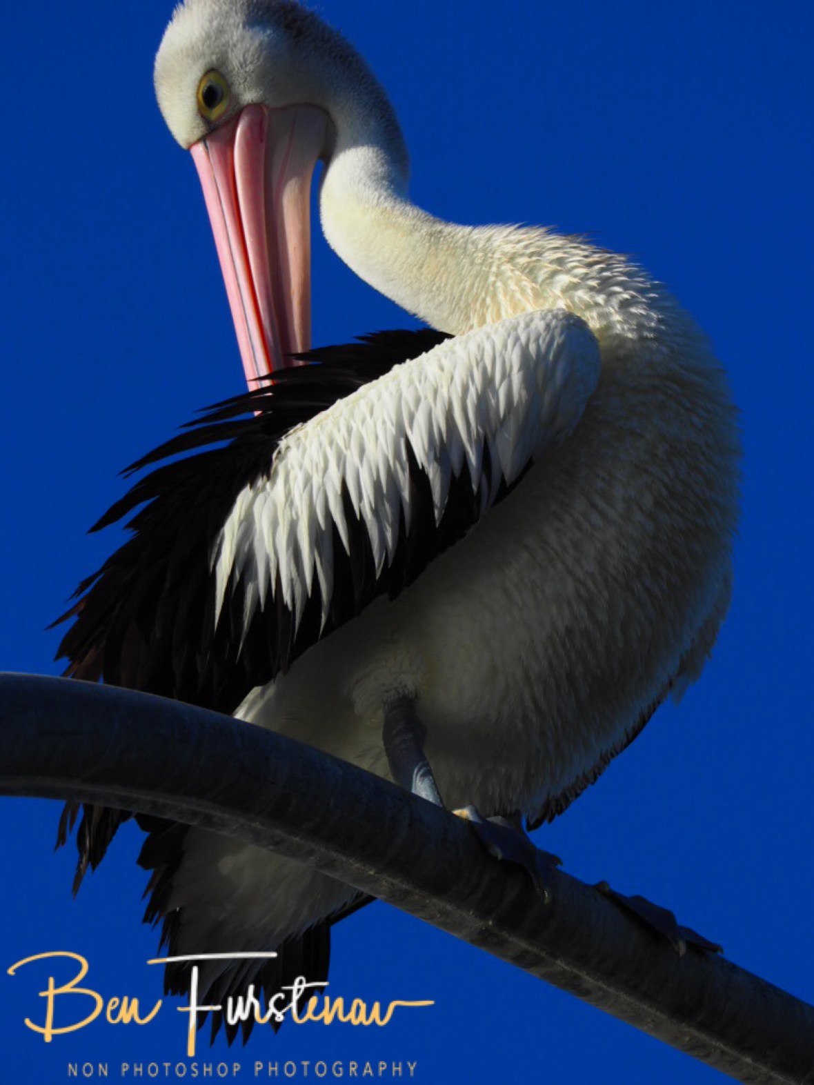 14E994BF-B62B-47D2-922A-783AB58974C6