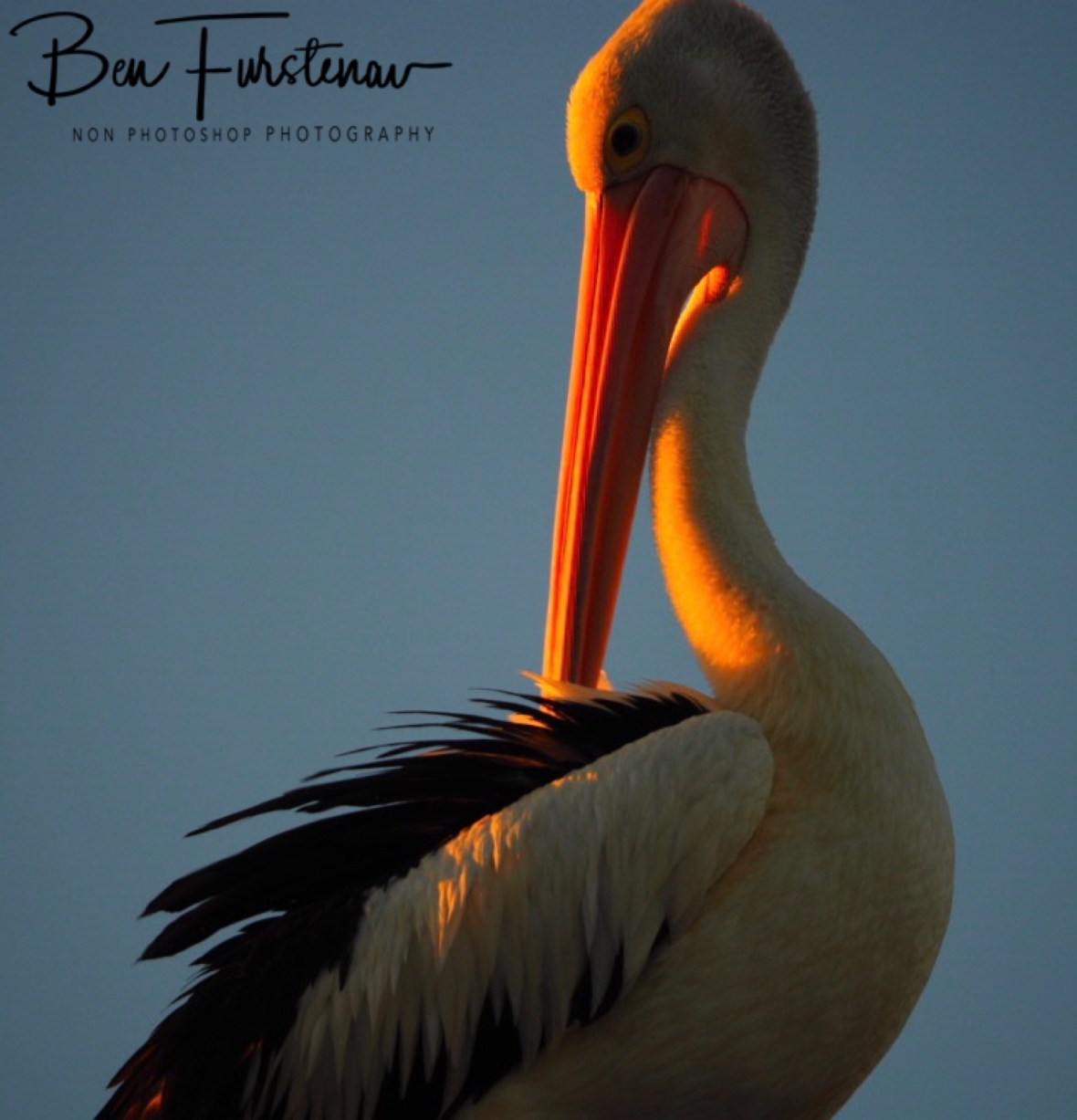 Smiling at the sunset @ Evans Head, Northern New South Wales, Australia 