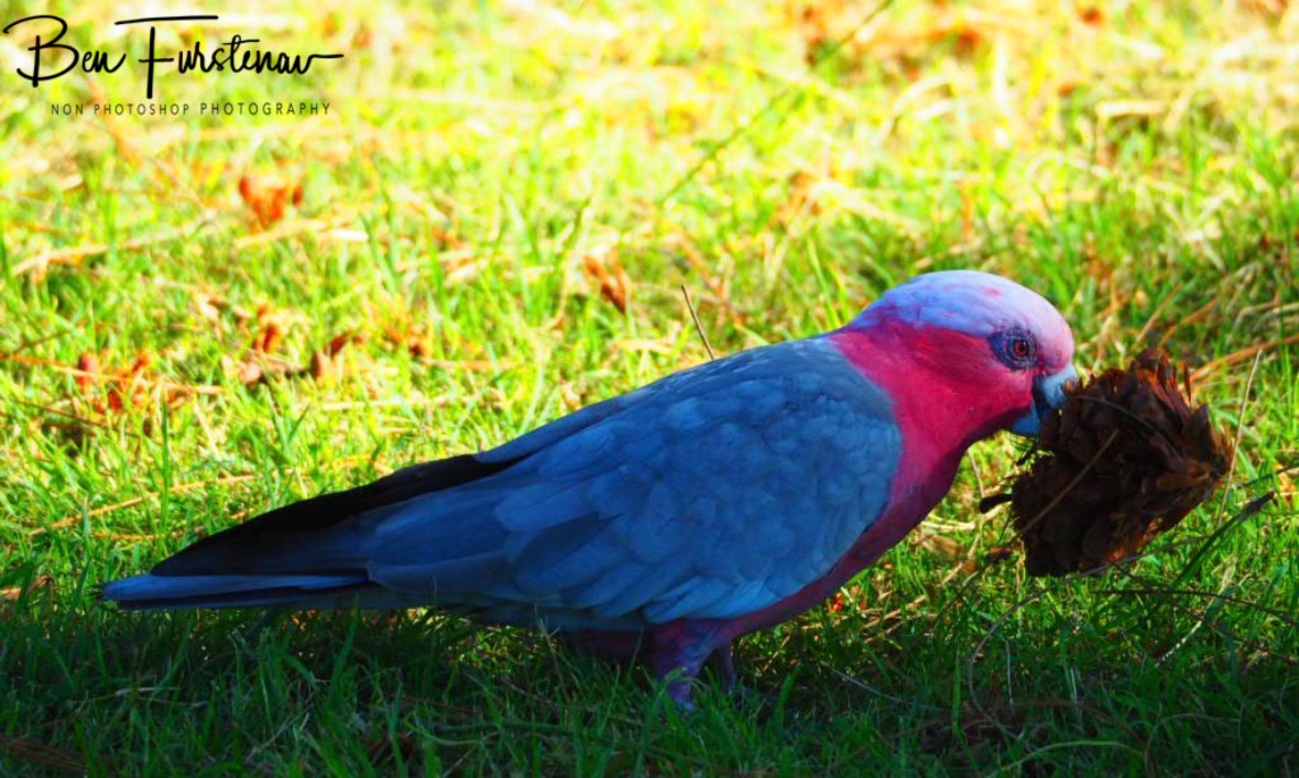 1C532B43-F60D-4F4B-9672-875E836076E2