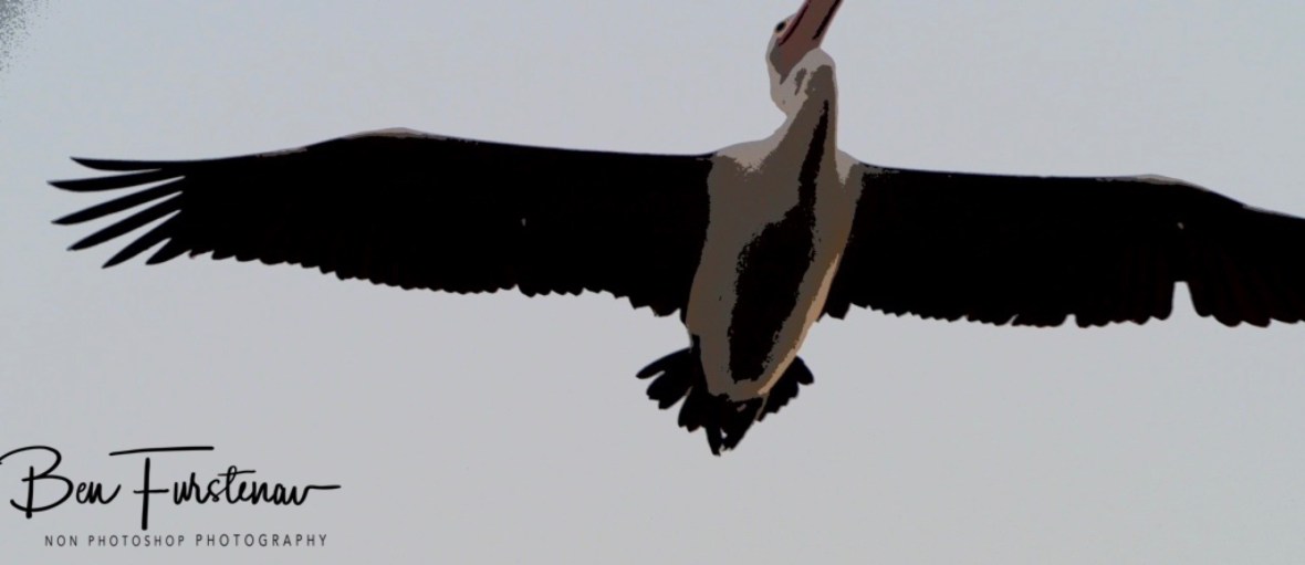 Incoming! @ Evans Head, Northern New South Wales, Australia 