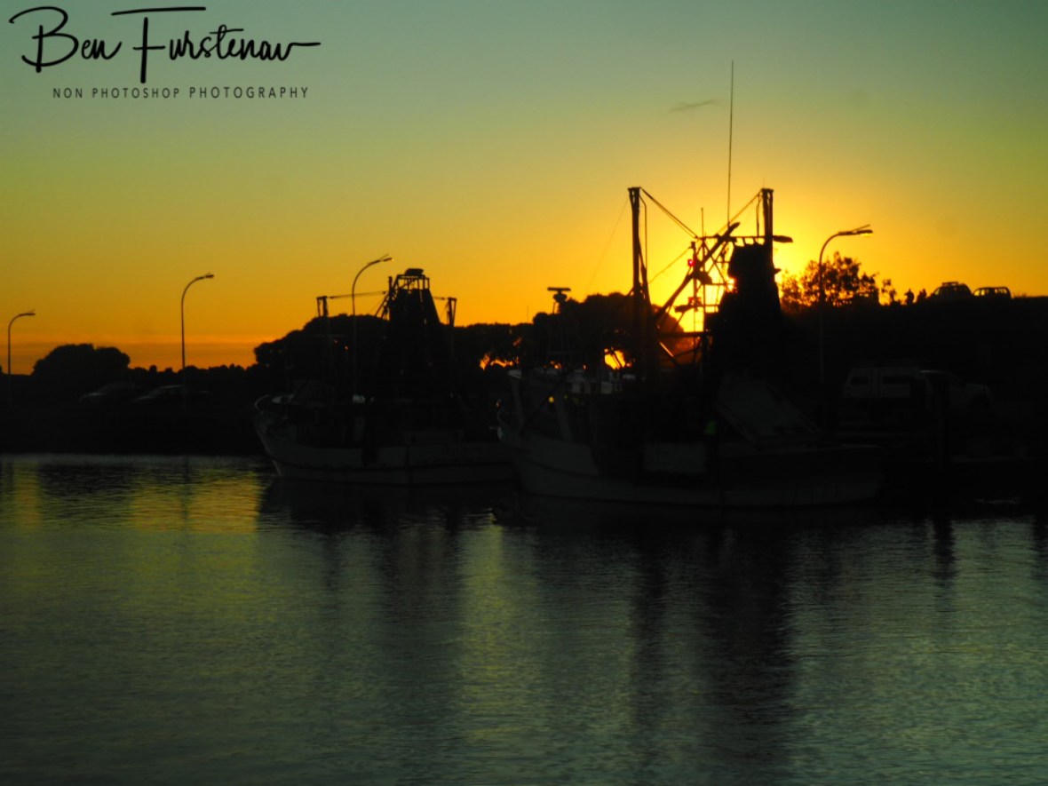 Fresh prawns anyone? @ Crowdy Head, Northern New South Wales, Australia 