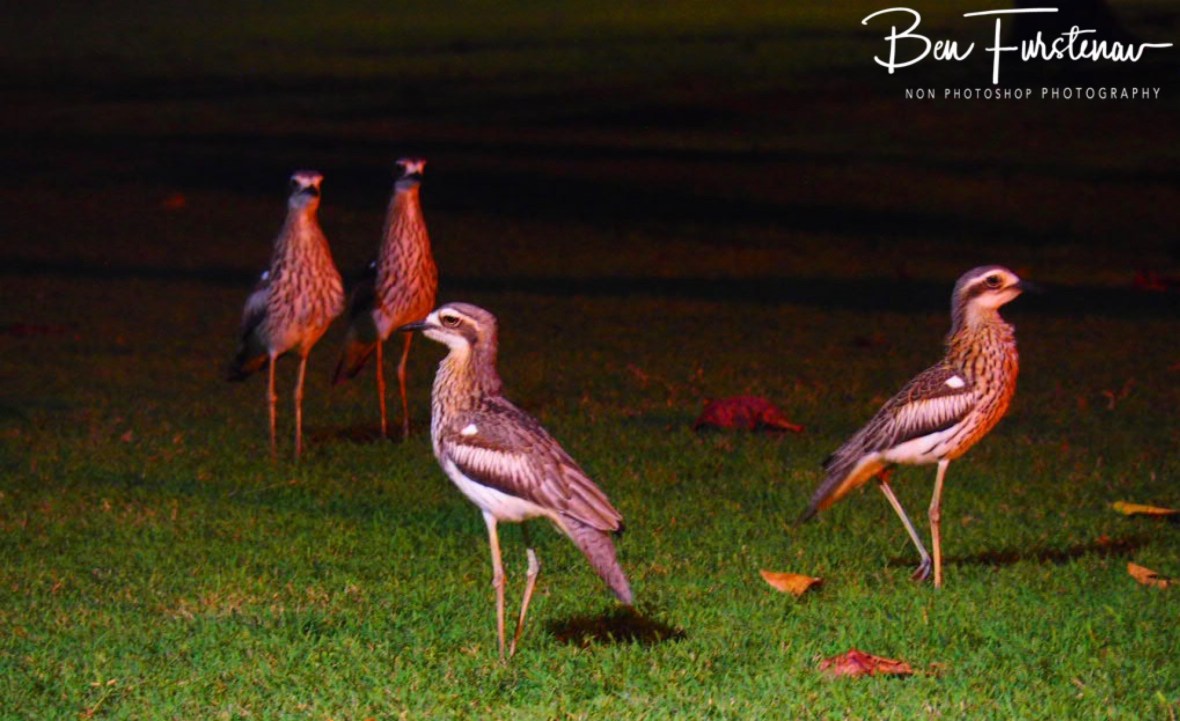 The stage is set @ Townsville, Northern Tropical Queensland, Australia 
