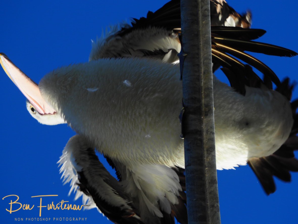 38F25744-84A6-4725-AE23-BABCE4957D91