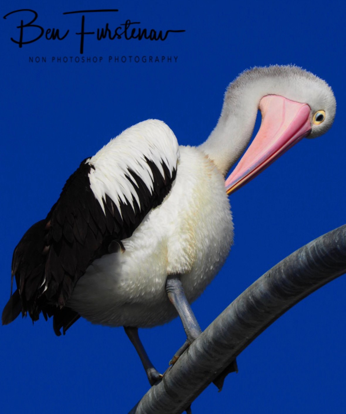 Gripping @ Evans Head, Northern New South Wales, Australia 