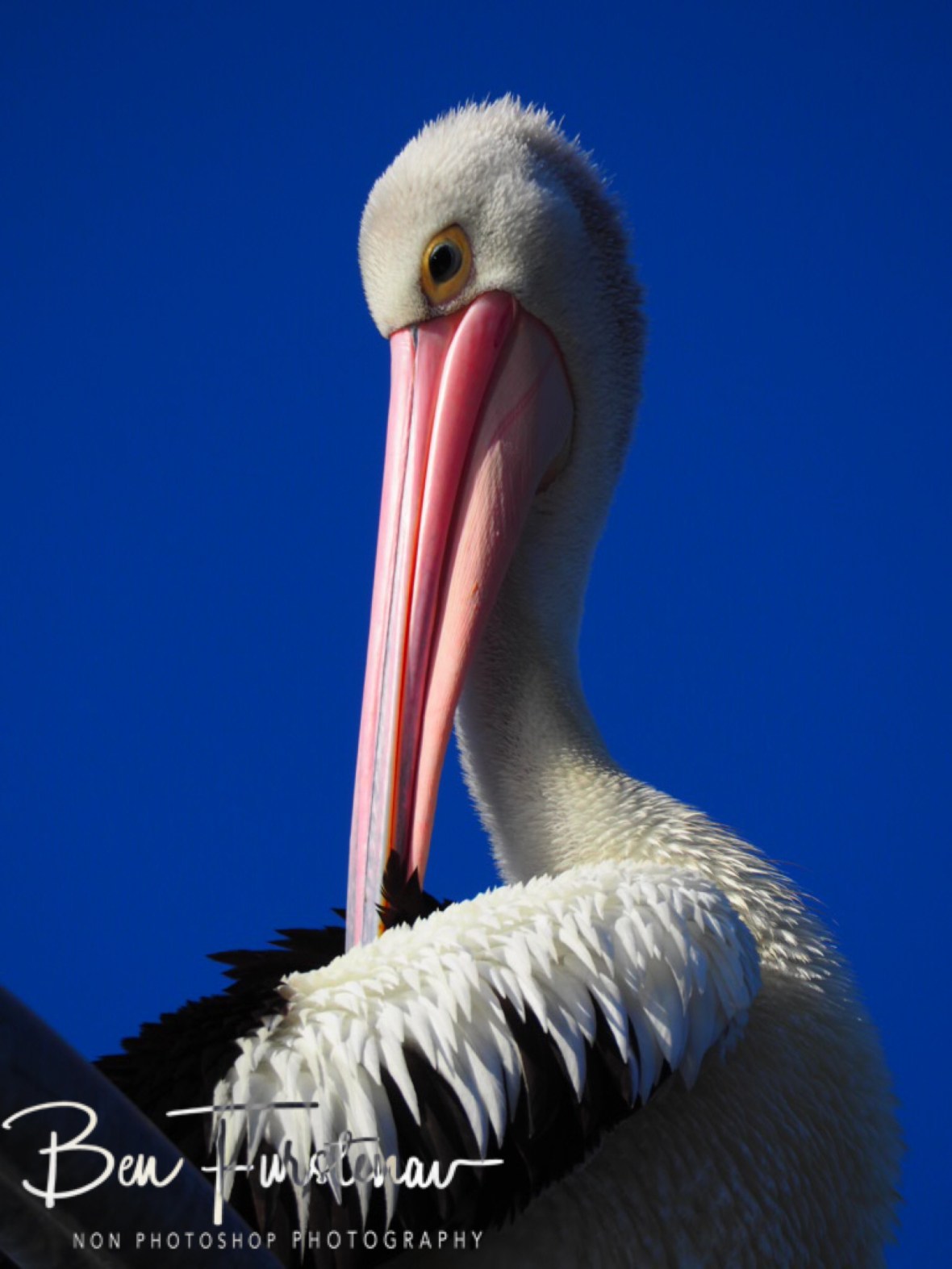 All smiles @ Evans Head, Northern New South Wales, Australia 