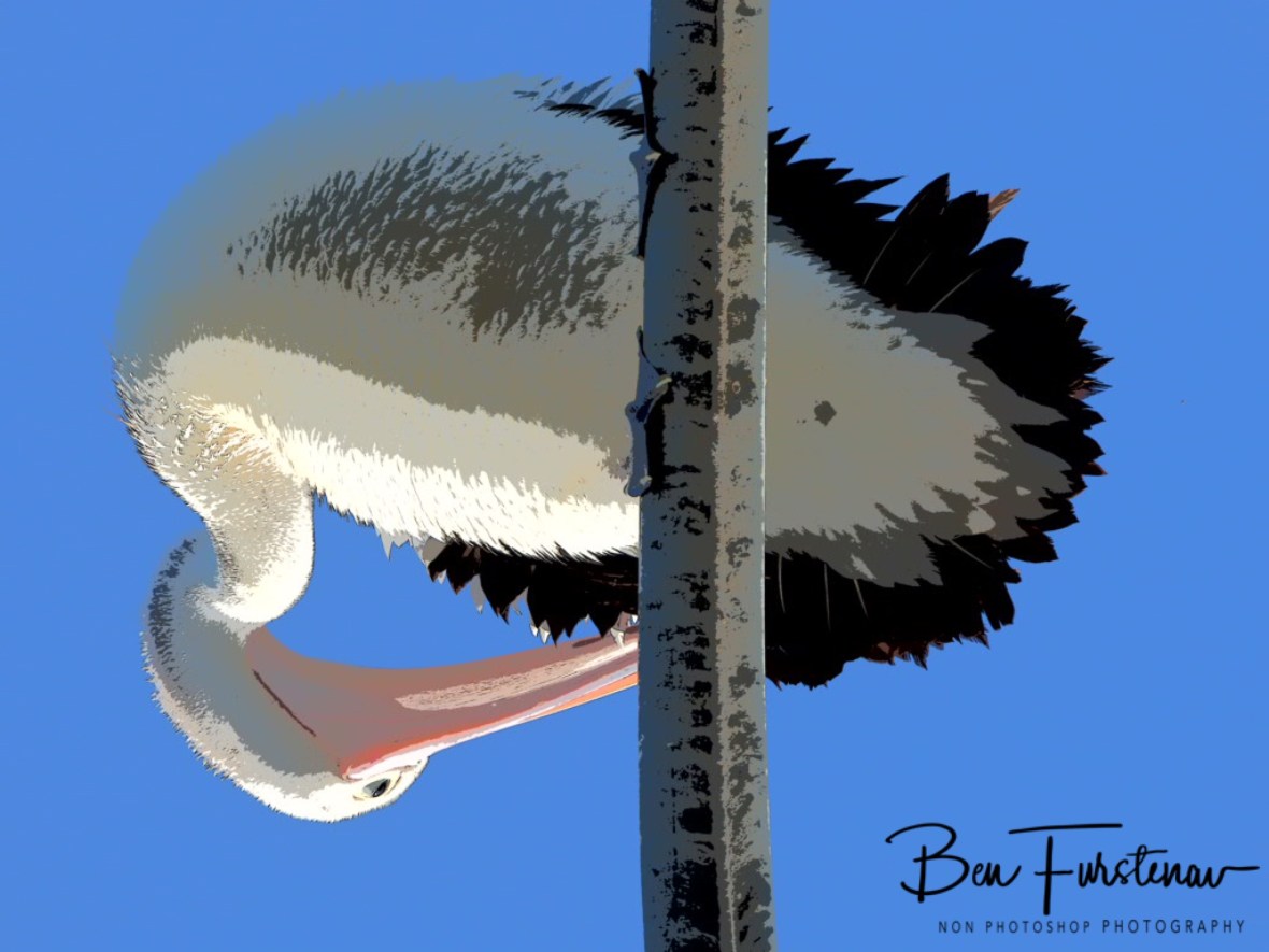 A different view @ Evans Head, Northern New South Wales, Australia 